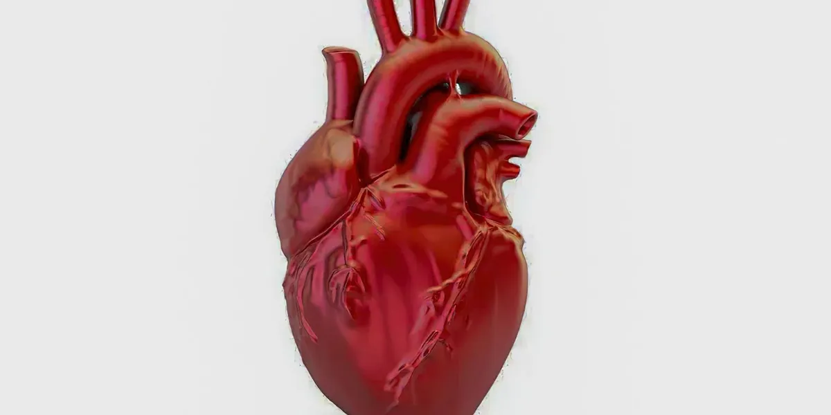 Doenças cardiovasculares matam a cada 72 segundos no país; alerta médico