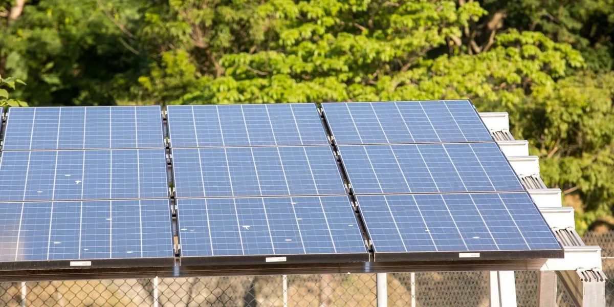 Leilão federal destina quase R$ 50 bilhões para projetos verdes no país