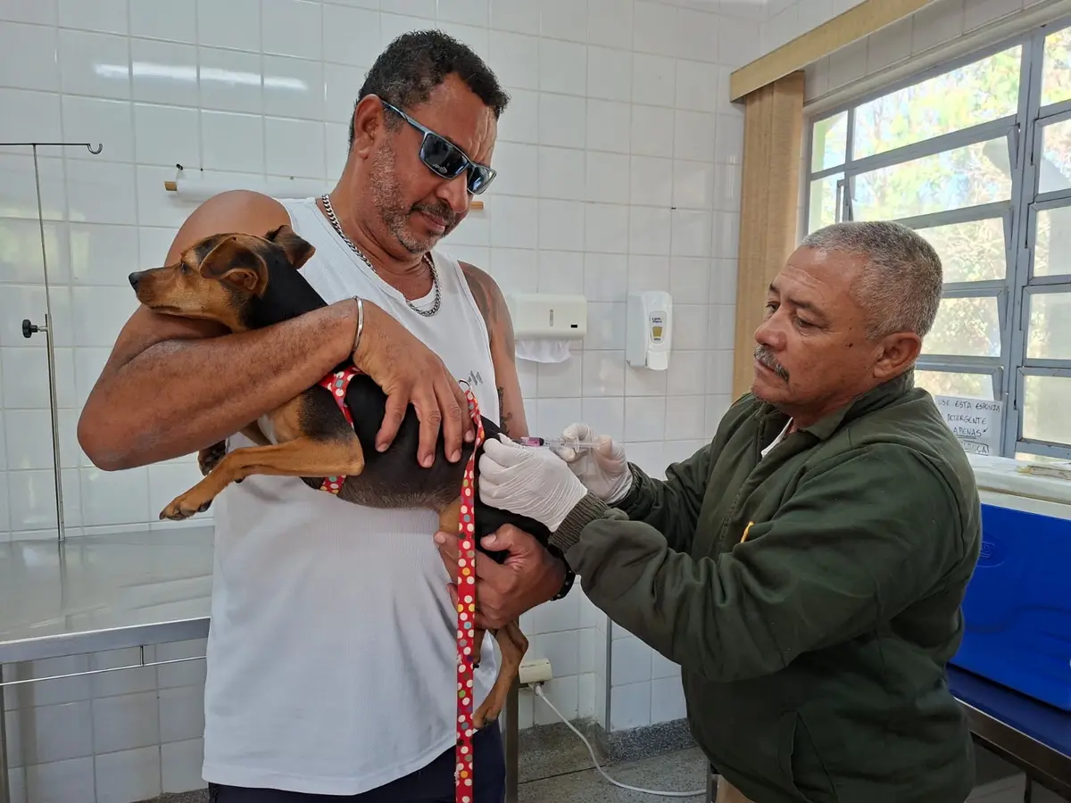 Vacinação antirrábica para cães e gatos nesta quinta no CCZ