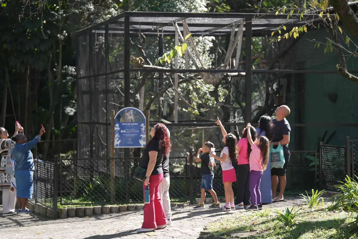 DESTAQUE Zoológico de Guarulhos libera vagas de estágio para o início de 2027